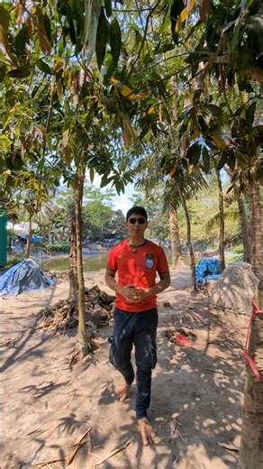 👉 90% People Use “Call Off” Wrong! Learn 4 Easy Sentences 🔥 #shorts