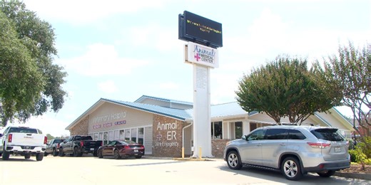 Animal Medical Center celebrates 50 years of care