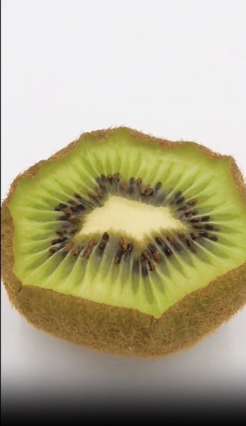 Kiwi Time Lapse