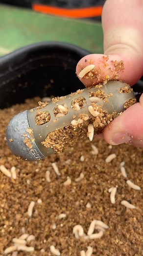 2.1K views · 163 reactions | How to fill a open window feeder  #tackleguru #feederfishing #feeder #windowfeeder #fishing | Tackle Guru Benelux | Facebook