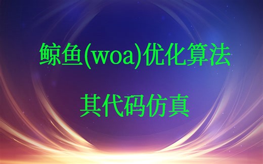 3-36鲸鱼（woa)优化算法及其代码（matlab在线）视频课程