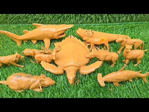 Epic Animal Meet-Up: Farm and Zoo Animals Meet Deep Sea Creatures