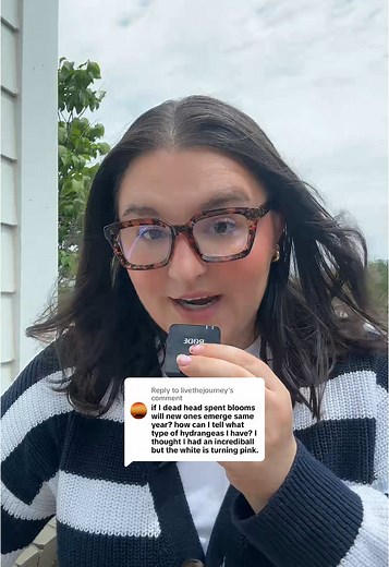 Deadheading 101: Tips for Thriving Plants