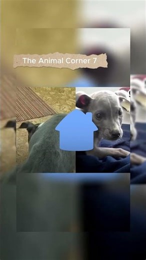 She was abandoned because of her rare condition