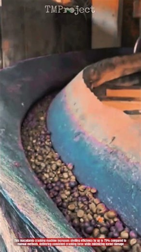 Innovative Macadamia Cracking Machine: High-Efficiency Nut Shelling System