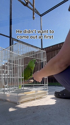 Jen Greenberg on TikTok