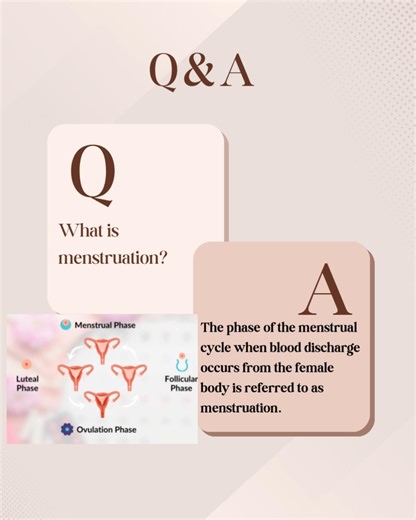 🌟 Unlocking Adolescence: Key Insights on Menstruation for Class 7! 🌟 Essential Questions Explored! 📰