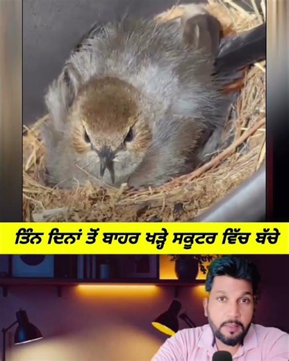 ਤਿੰਨ ਦਿਨਾਂ ਤੋਂ ਬਾਹਰ ਖੜ੍ਹੇ ਸਕੂਟਰ ਵਿੱਚ ਬੱ/ਚੇ #viralvideo @aman89689