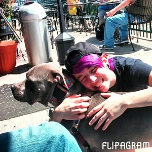 How about a little flipagram to finish out our weekend? We hope you like it! Also, here is your requested American Humane Association Hero Dog Awards voting reminder http://www.herodogawards.org/contestants?nominee=64345425 Thank you all ❤❤❤ | Jeffrey, The Positively Peaceful Pit Bull