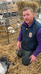 1.4M views · 27K reactions | Not quite to plan — Vet steps in to help...