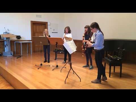 Blockflöte, Mollenhauer Traum-Edition