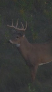 Who here is putting a buck on the ground opening day? The Element #FirstLiteHunting #GoFartherStayLonger #FLBuiltByHunters | First Lite