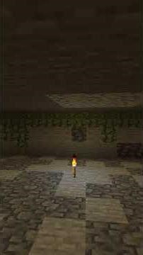 Vine Farmin' Time-lapse