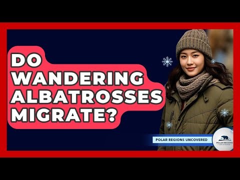Do Wandering Albatrosses Migrate? - Polar Regions Uncovered