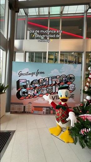 Empieza mi disney college program🥹🥹 #disneycollegeprogram #dcp #disneyinternship