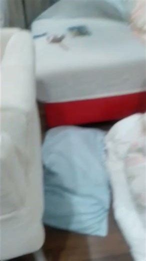 pov of the last tree #funny #memes