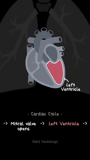 Cardiac Cycle Simplified! #cardiaccycle #cardiology
