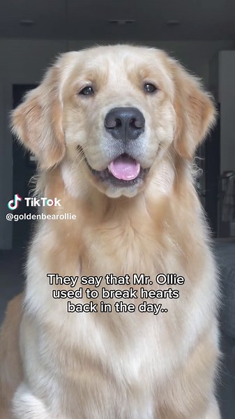 Exploring the Science of Handsomeness in Men