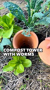 Sustainable Compost Tower for Gardens Beds and Pots & Containers 🌿🪱♻️ I’m using this compost tower for 6 months and the results are really great. This allows me to reuse my food scraps in multiple beds in my garden and I just let the worms compost magic happen to diffuse essential nutrients to my plants. No need of synthetic fertilizer, natural compost is feeding regularly the soil and on a longer term creating life & biodiversity. Green Love to you and Green Love to our beautiful worms! #comp