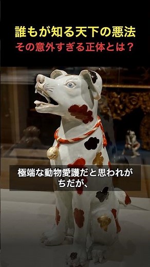 「生類憐みの令」は実は福祉政策だった？徳川綱吉の真の狙いを歴史のプロが解説 #Shorts