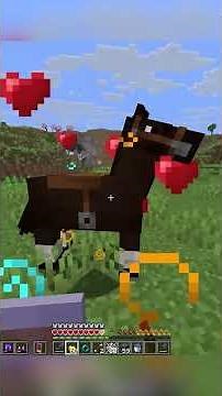 I Got Hunted By The LAW