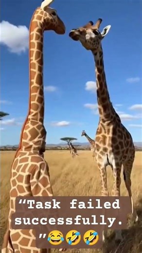 “Task failed successfully.” #funny