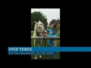 How to Use a Hackamore Bridle