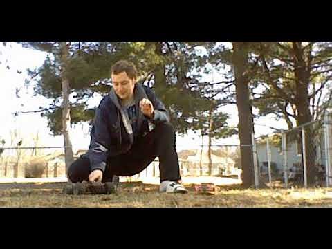 Traxxas mini maxx update