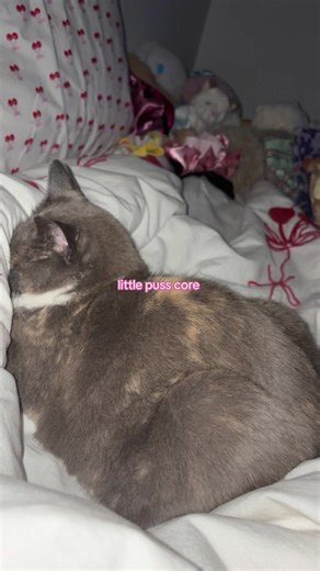 ≽^•⩊•^≼ |🍏| (@toothlesstrainer0)’s videos with lovers’ carvings - Bibio