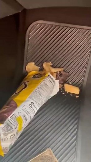 Mexicana encontra rato morto dentro de pacote de batata chips