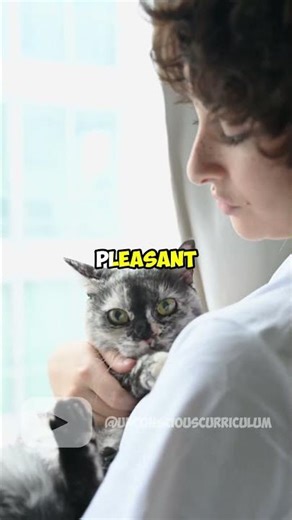 Did you know cats bury poop for hygiene? 🐾🧹 #Cats #TopicFacts #Learning