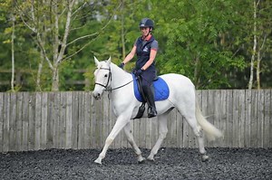 30-minute Workout to Improve Your Horse's Balance