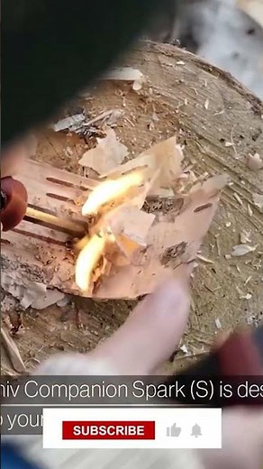 Best Survival Knife 2024!