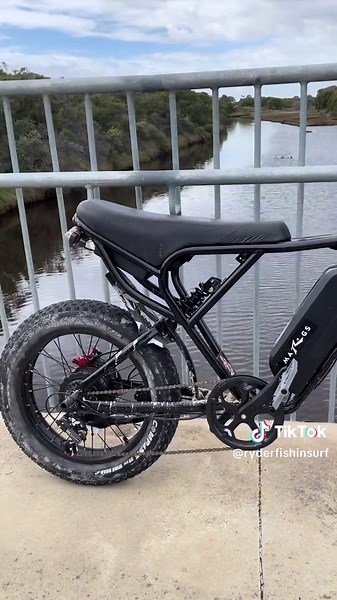 full throttle, stem, display ordered | tiktok its ai #unlockmylikes #aigenerated #fyp #dunsborough #ridstar