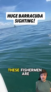31K views · 129 reactions | That’s barracuda jump high out of the water! Not something you see everyday! #catch #fishing #fishingtrip #fishinglure #fishingislife #hooked #hook #fish #fishhook #fisherman #saltlife | Reel Adventures | Facebook