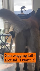 11K views · 281 reactions | What is resource guarding? Is ice a...