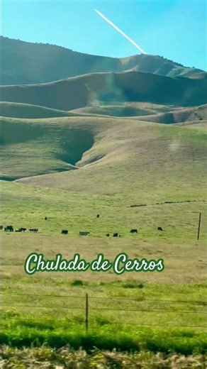 Chalino Sánchez será siempre uno de los mejores 🩵#norteño #regionalmexicano #musica #musicaantigua