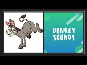 Donkey Sounds for Kids | Learn Animal Sounds