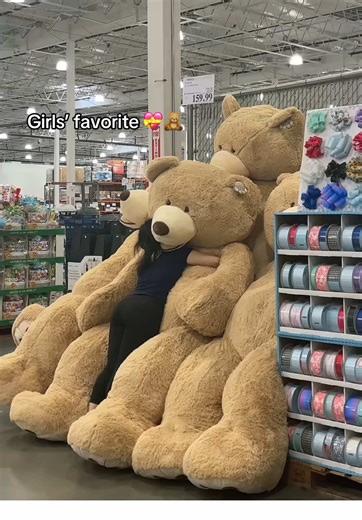 Must-Have Teddy Bears at Costco! 🧸
