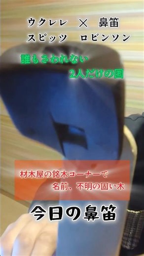 ​【自作の謎】正体不明の「固い木」で鼻笛。スピッツを吹いたら意外な音色が… #ロビンソン #DIY