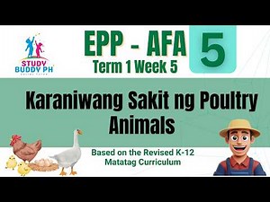 EPP-AFA 5 Term 1 Week 5: Mga Karaniwang Sakit at Natural na Lunas para sa Poultry Animals