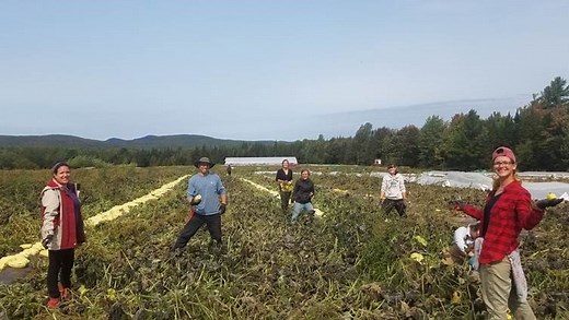 Production horticole - CRIFA DEP - centre de formation Coaticook - Estrie
