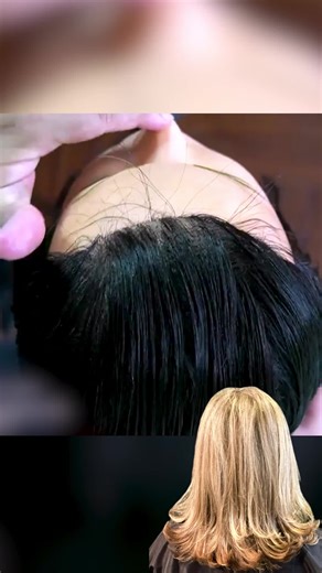 Divisiones para Cortes en Capas: Guía Completa