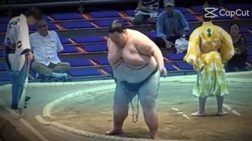 largest sumo wrestler weight of 299kg 365lbs and 6,3ft orora from Russia #sumo #sport #japan #martialarts