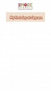 Pablo’s first day at daycare #doggydaycare | No More Kennels Luxury Dog Hotel, Doggy Daycare Resort & Spa