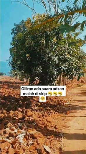 people skip the call to prayer when they hear it 🤧🥺🥺🥺 #beautifuladhan