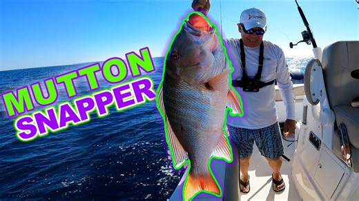 Catching a monster mutton snapper off Key Largo