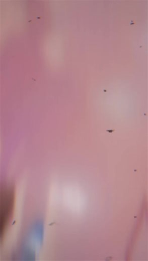 Bella __ boss (@bella.boss76)’s videos with original sound - Bella __ boss