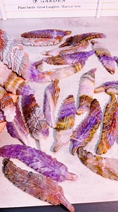 556K views · 10K reactions | Amethyst agate feathers | Appreciation of Rough Crystal | Facebook