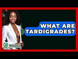 What Are Tardigrades? - Biology For Everyone